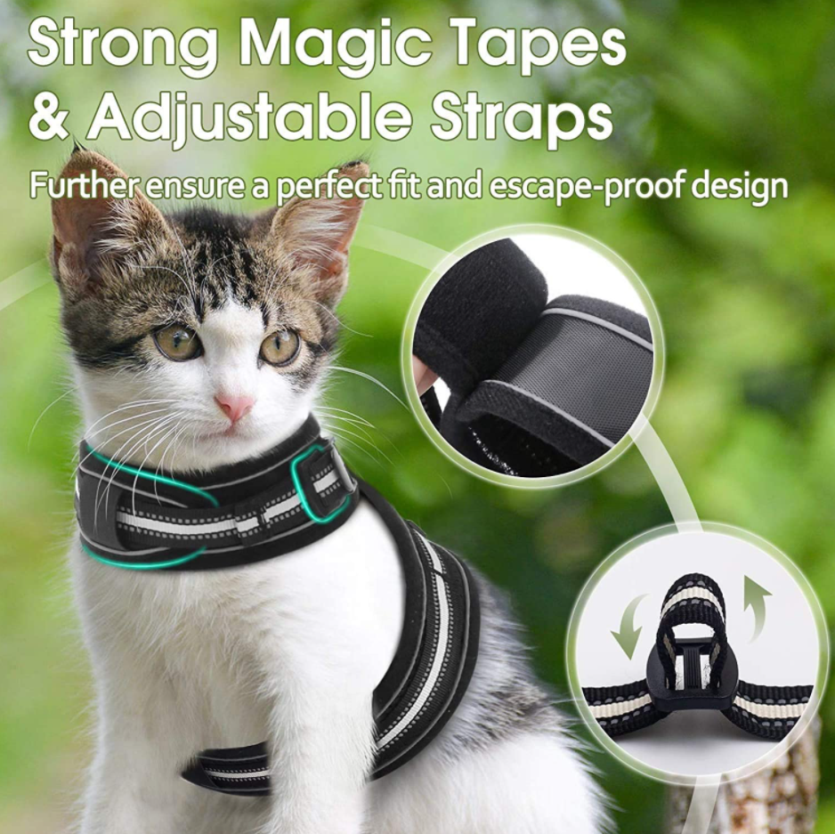Cat Harness For Walking
