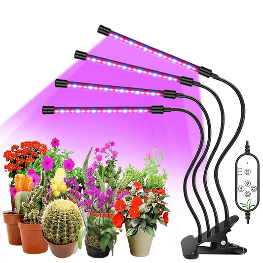 Grow Light for Indoor Plants