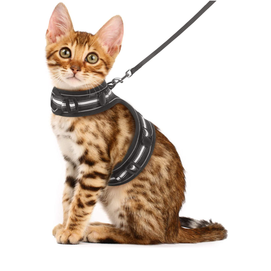 Cat Harness For Walking