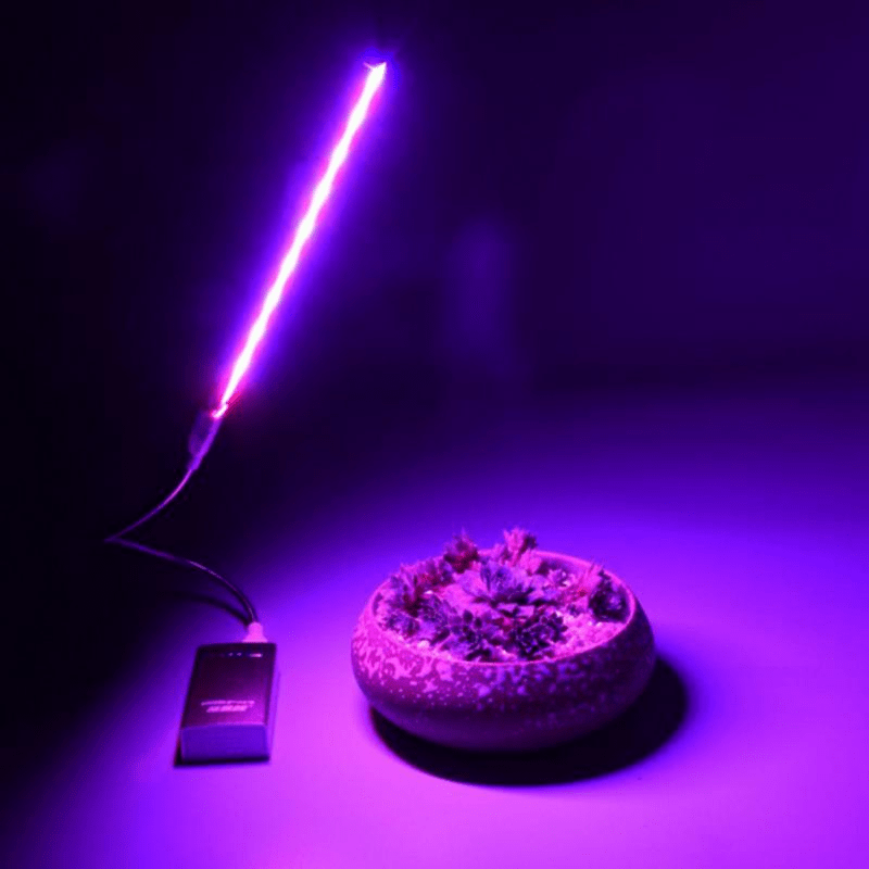 UV Light For Plants