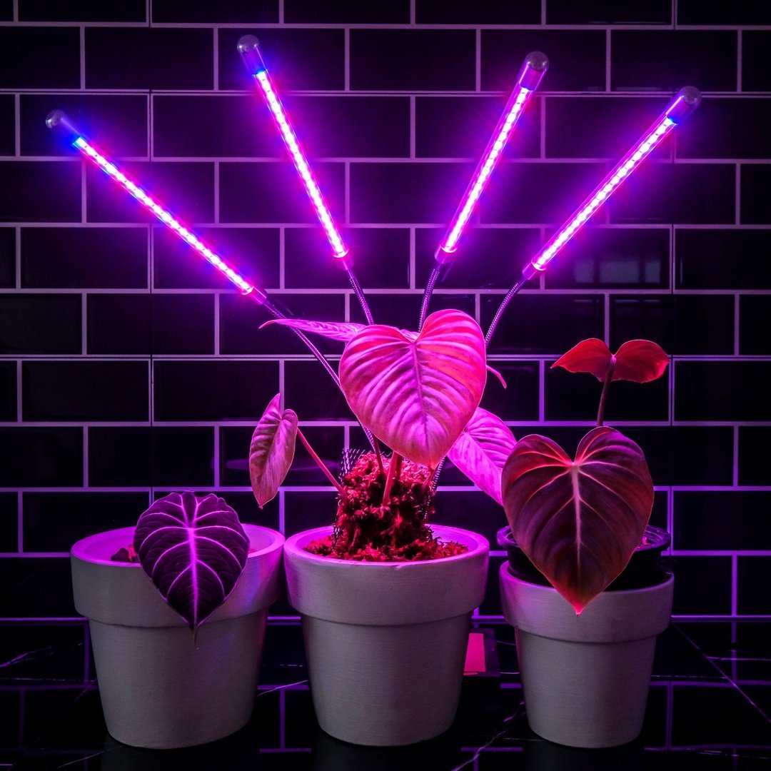 Grow Light for Indoor Plants