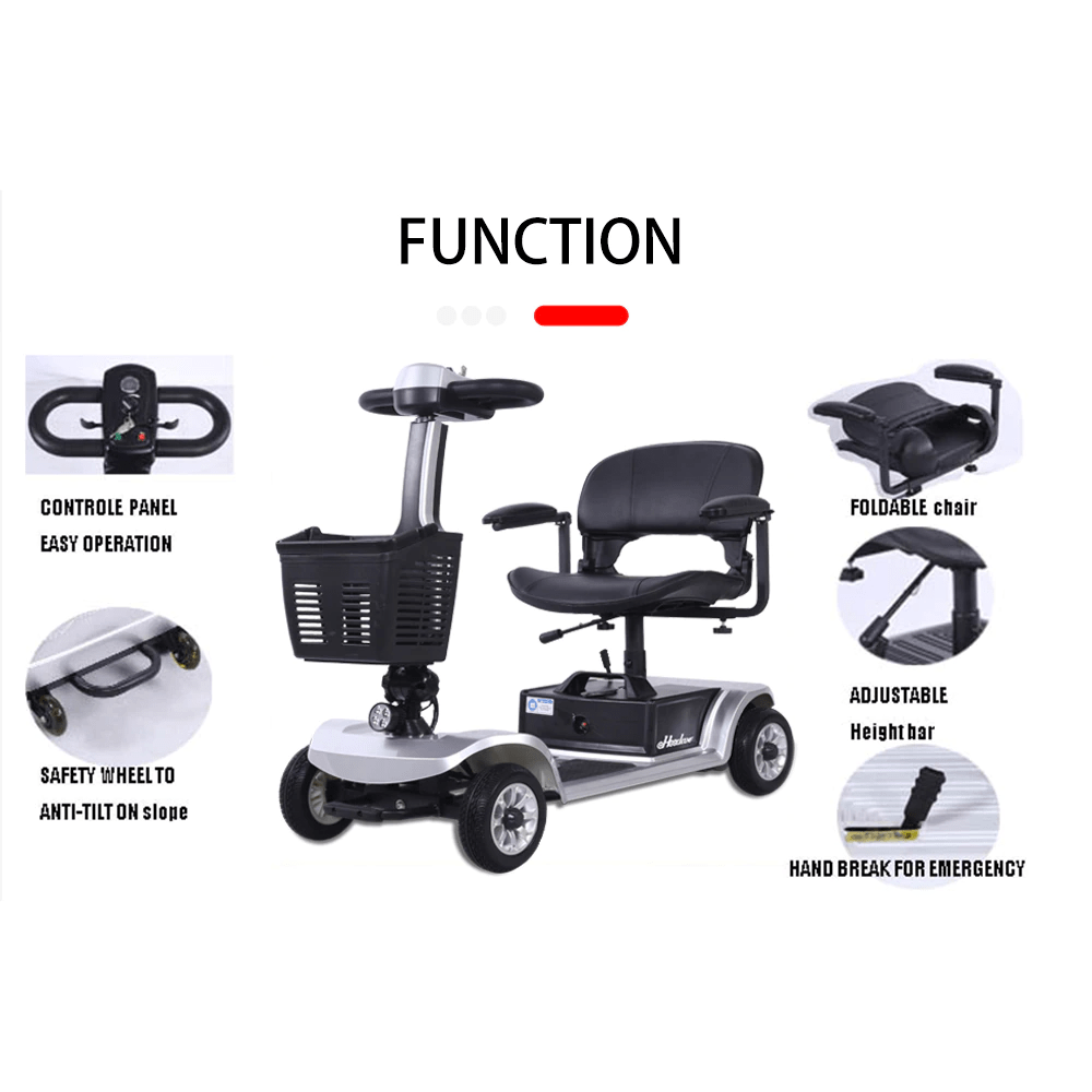 4 Wheel Electric Scooter