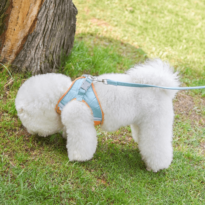 Reflective Cat harness and leash