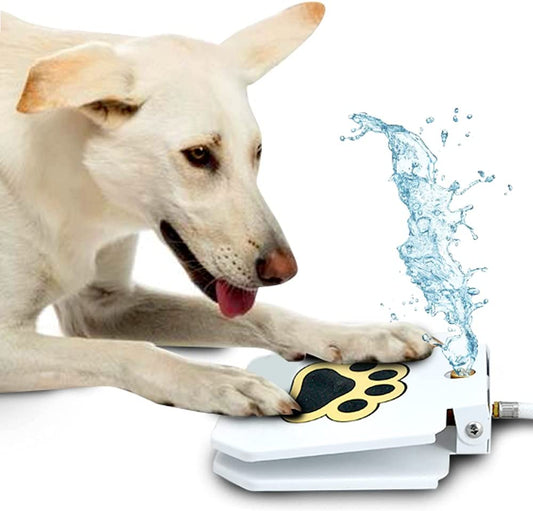 Dog Water Fountain