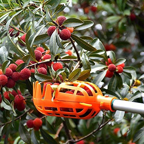 Fruit Picker