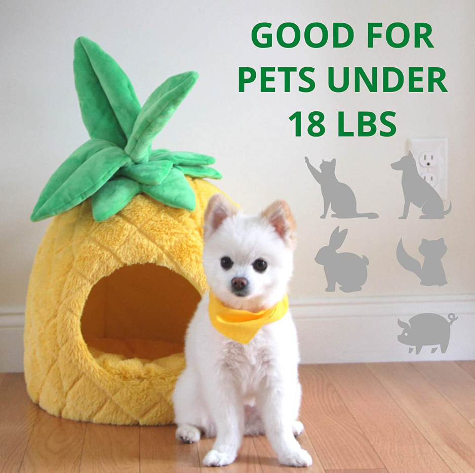 Pineapple Pet Bed for Cats