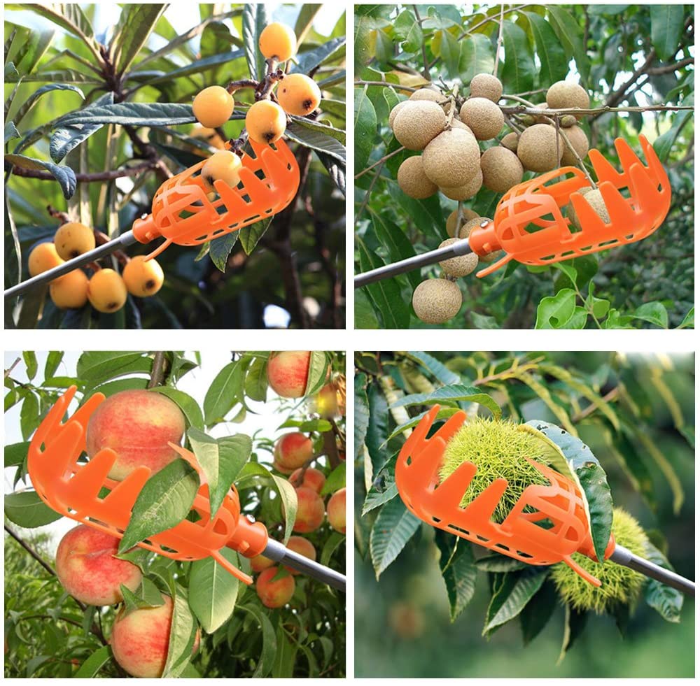 Fruit Picker