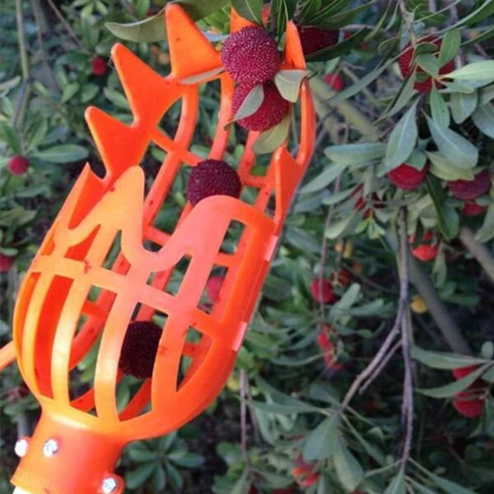 Fruit Picker