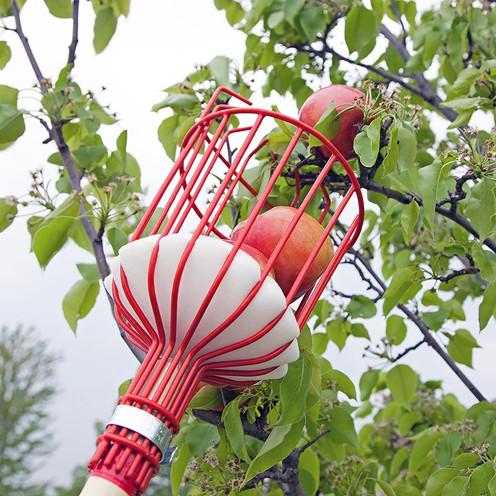Fruit Picker Tool