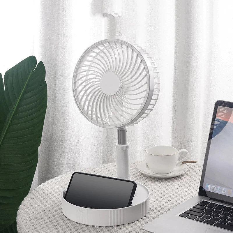 Portable Folding Fan