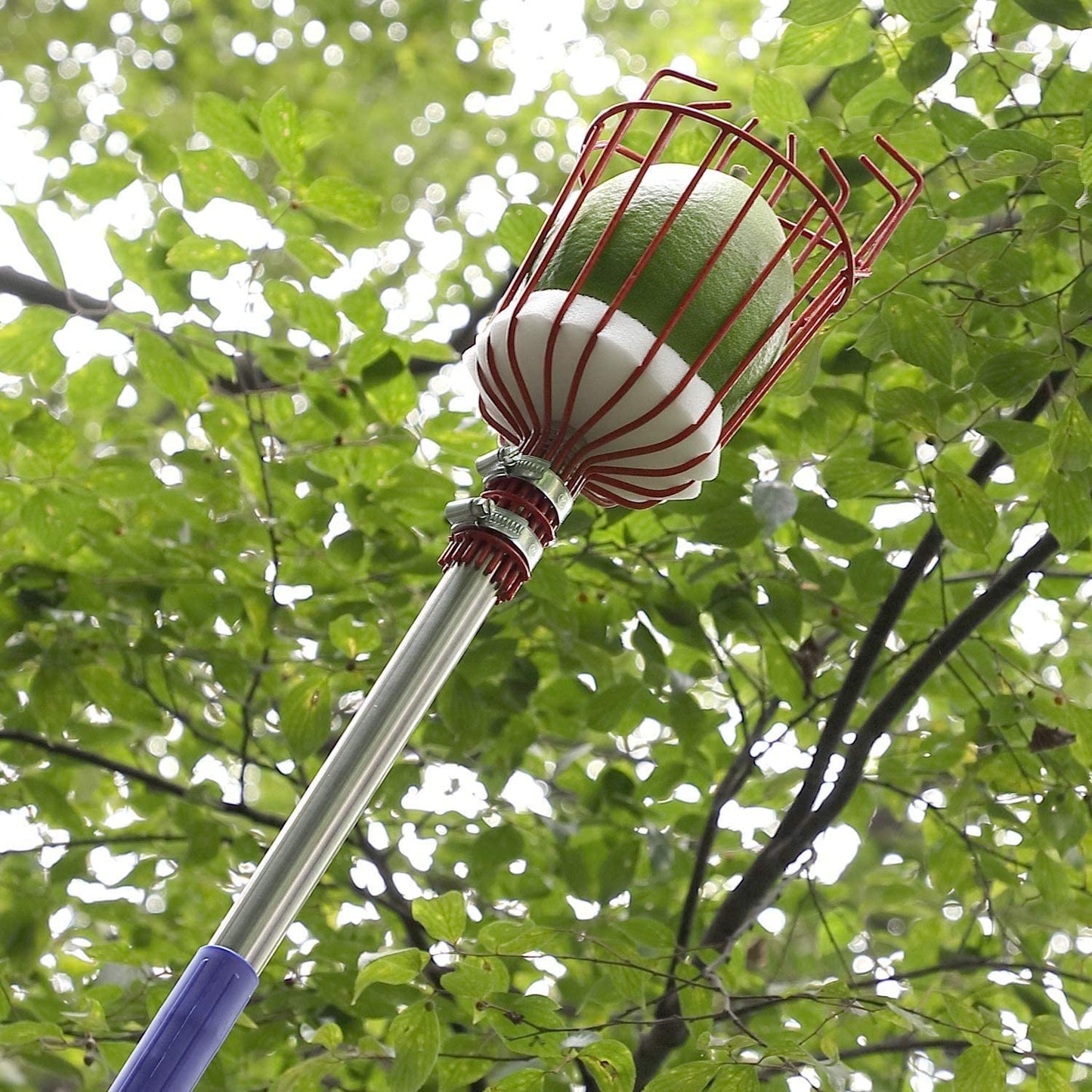 Fruit Picker Tool
