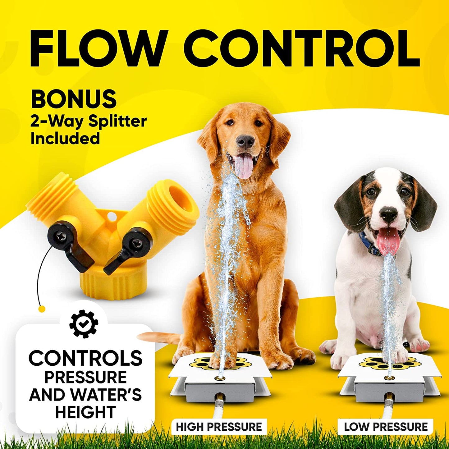 Dog Water Fountain