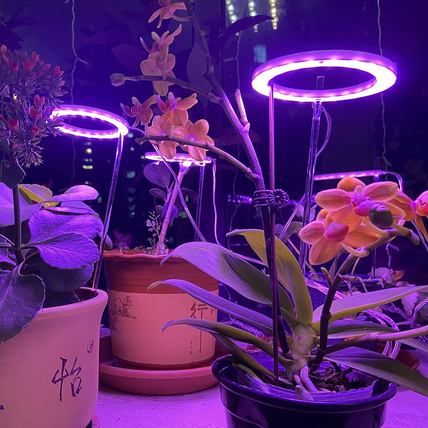 Full Spectrum Grow Light