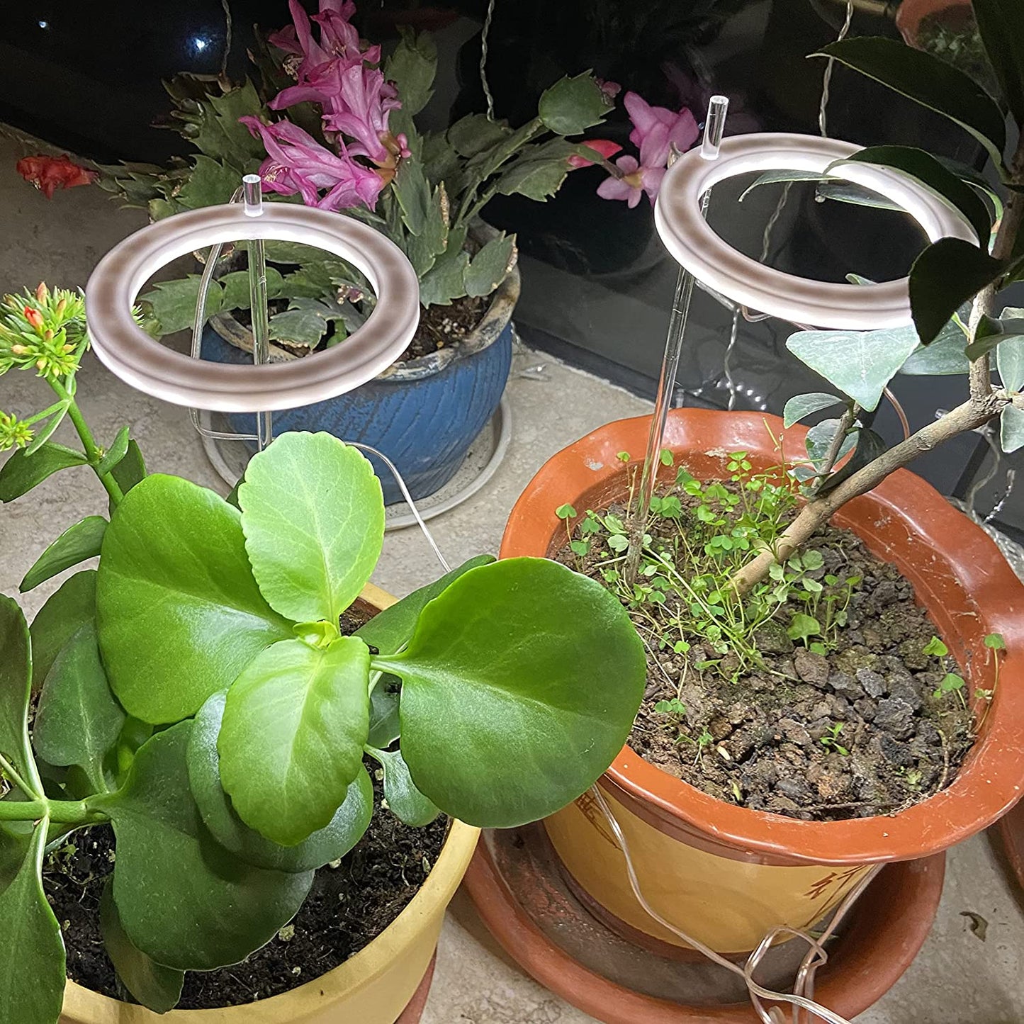 Full Spectrum Grow Light