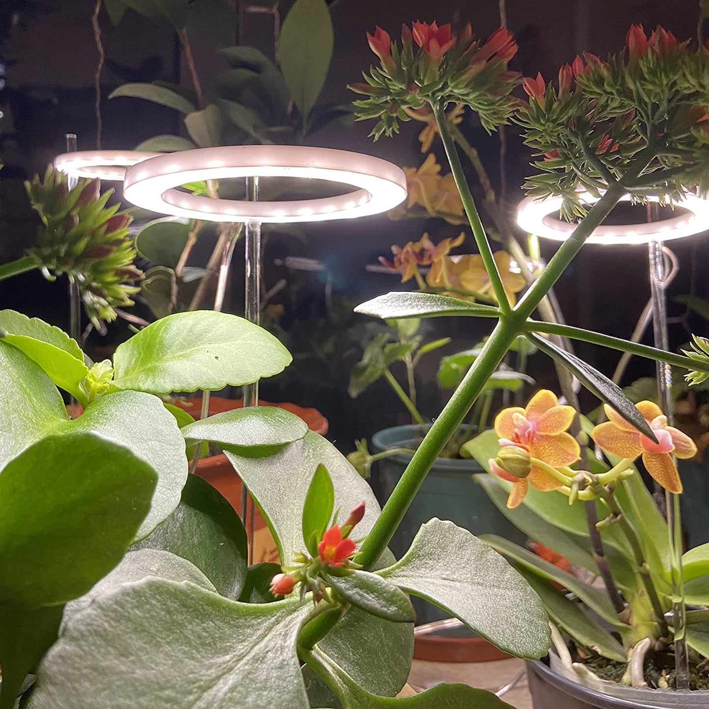 Full Spectrum Grow Light