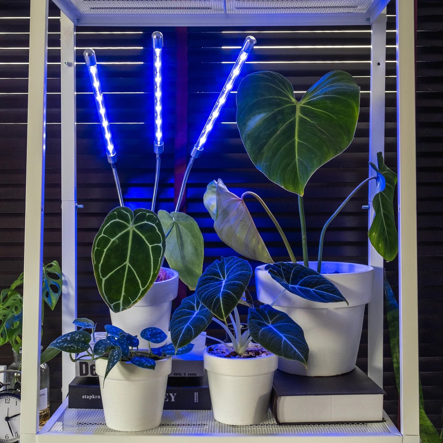Grow Light for Indoor Plants