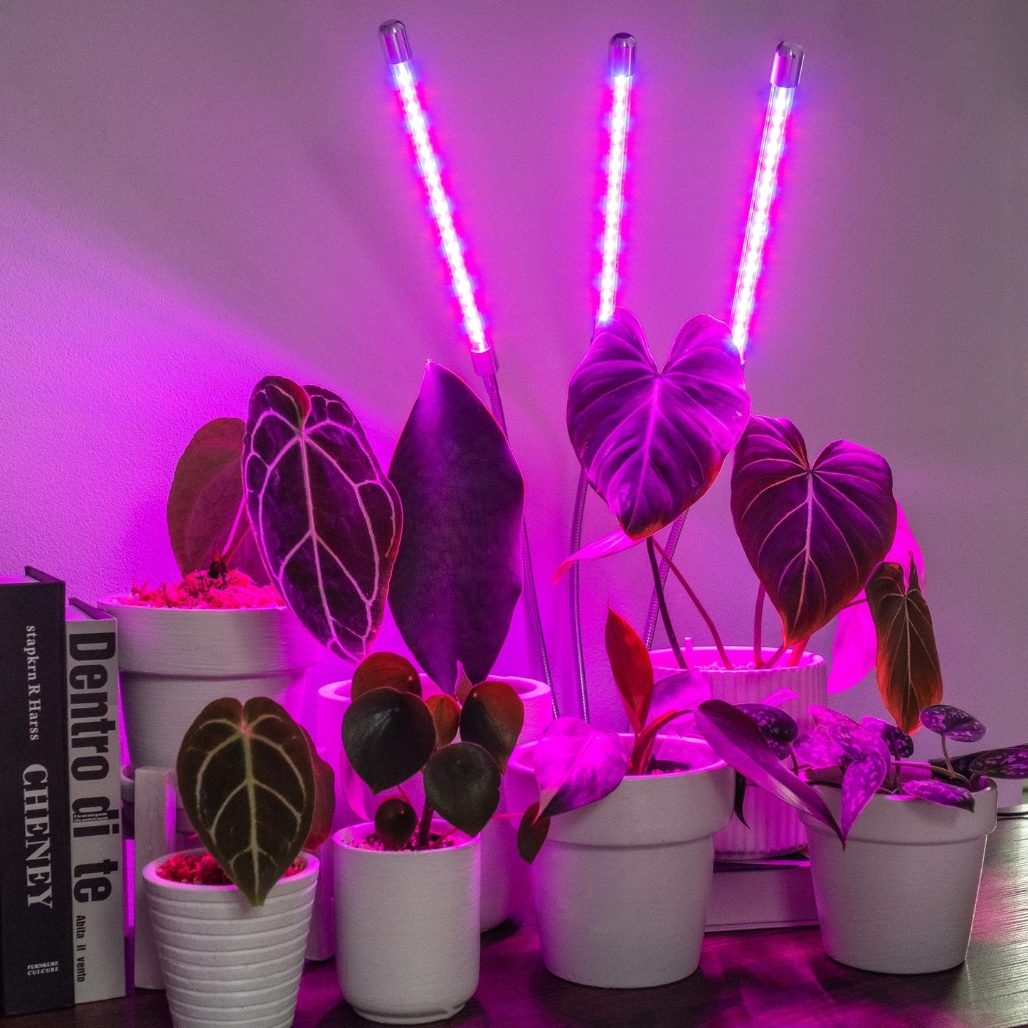 Grow Light for Indoor Plants
