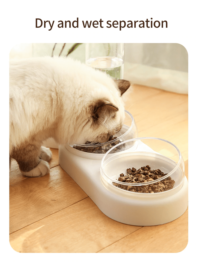 Elevated Cat Bowl