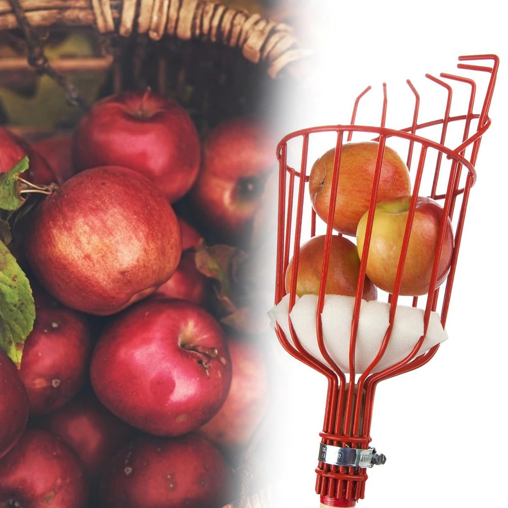 Fruit Picker Tool