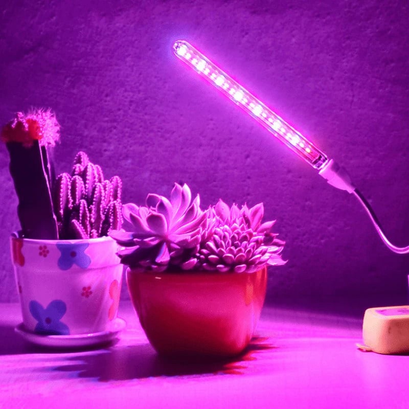 UV Light For Plants