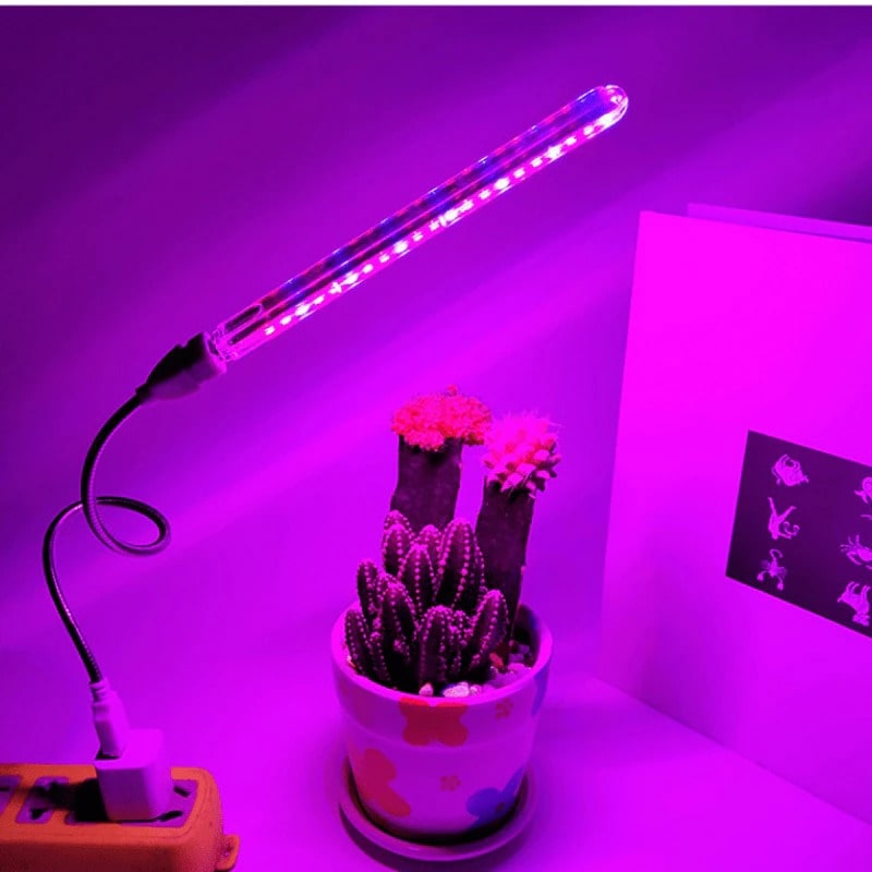 UV Light For Plants