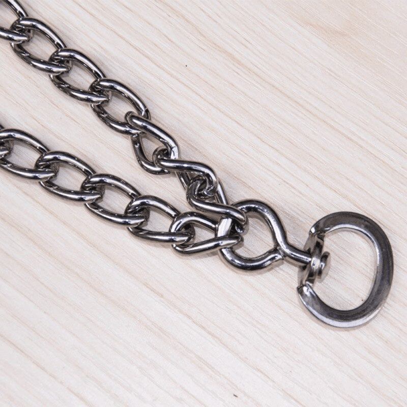Pinch Collar For Dogs