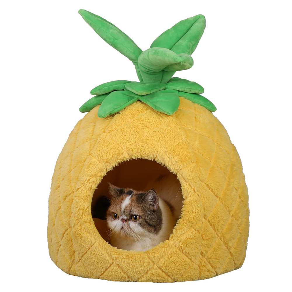 Pineapple Pet Bed for Cats