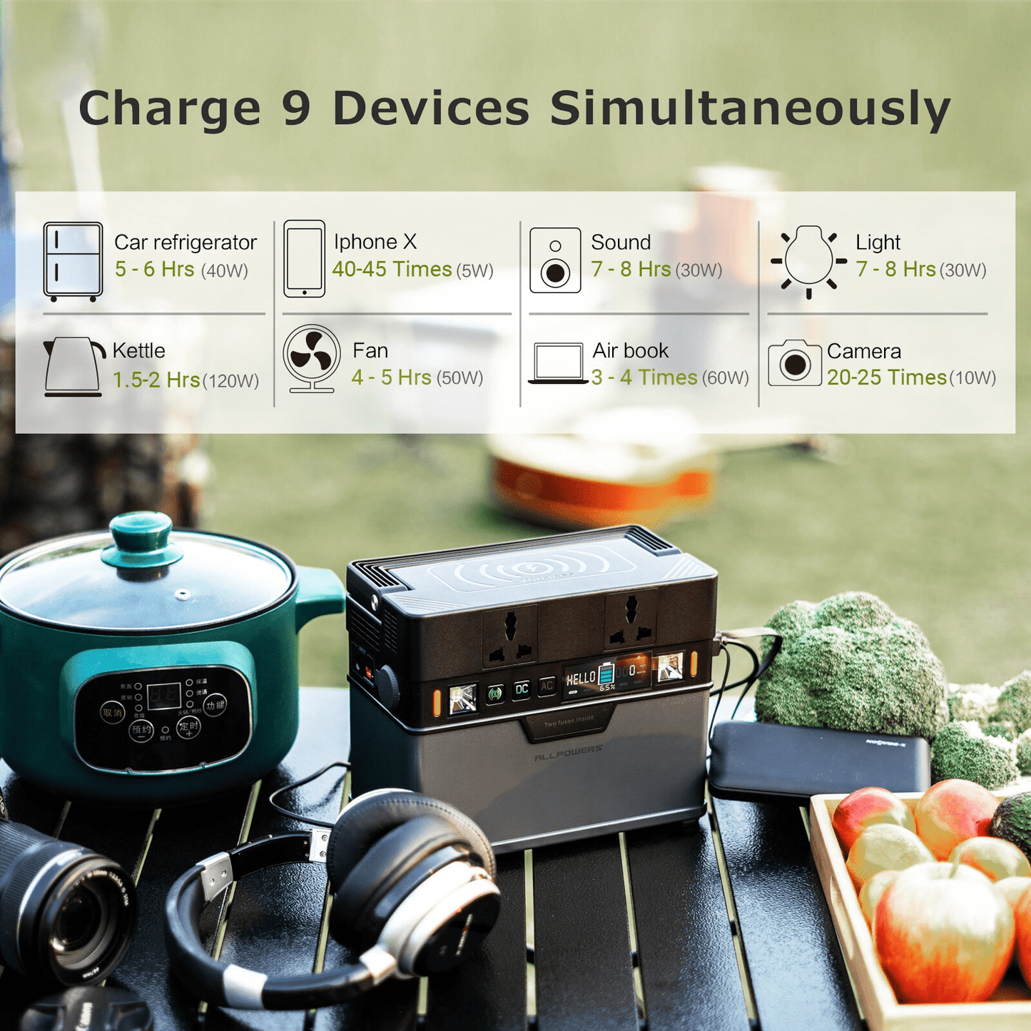 Portable Power Station 110V & 220V
