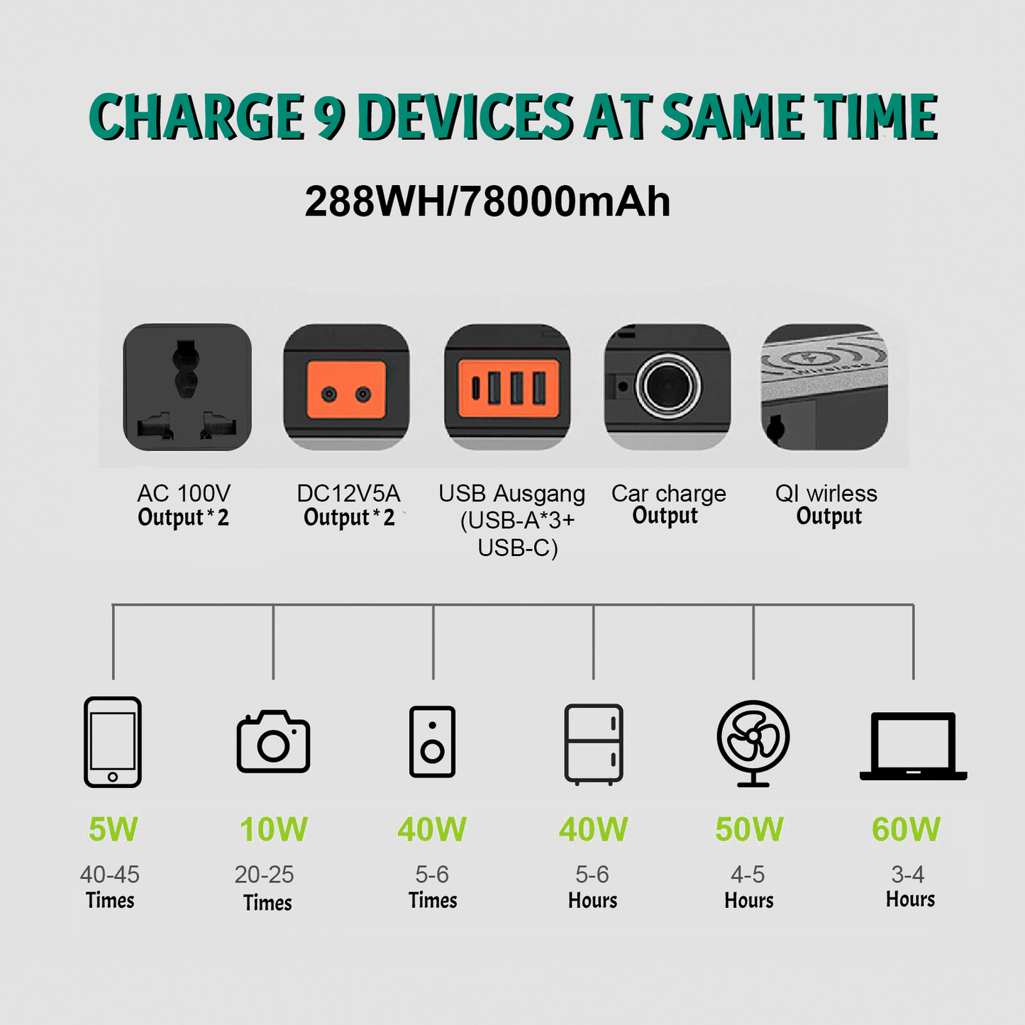 Portable Power Station 110V & 220V