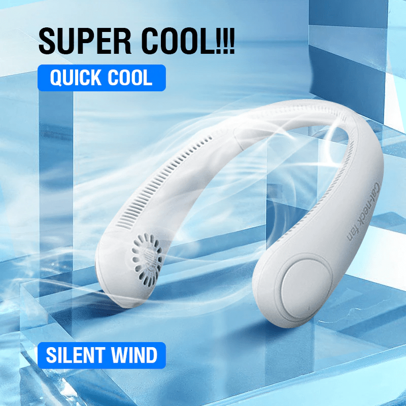 Battery Operated Fan