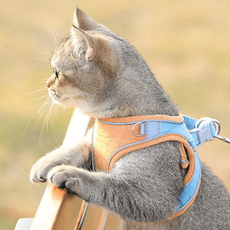 Reflective Cat harness and leash