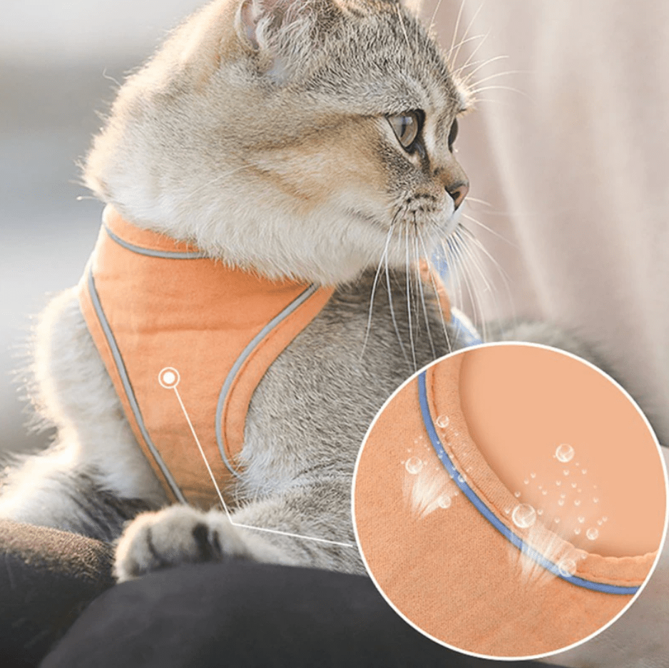 Reflective Cat harness and leash