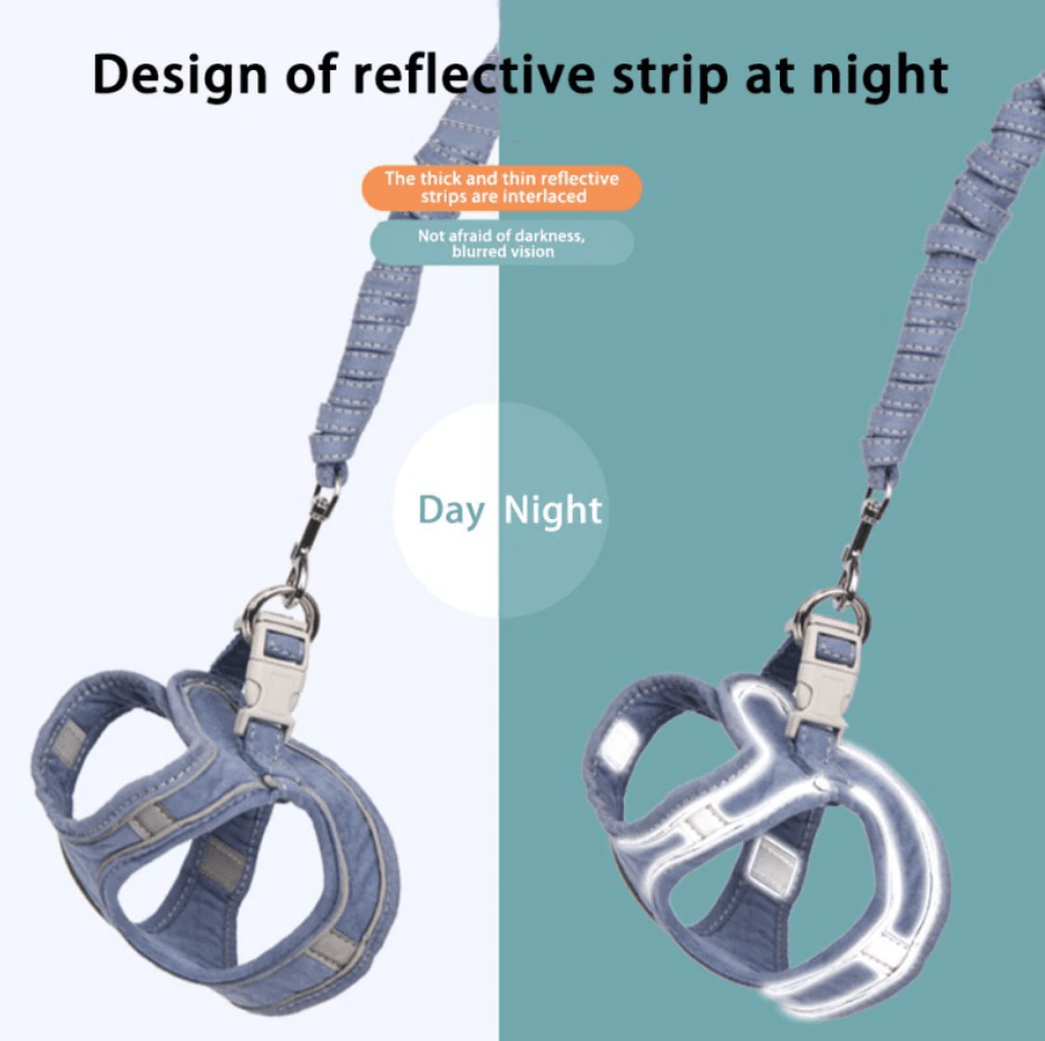 Reflective Cat harness and leash