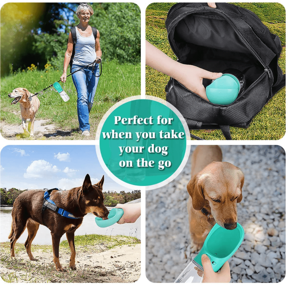 Dog Water Bottle