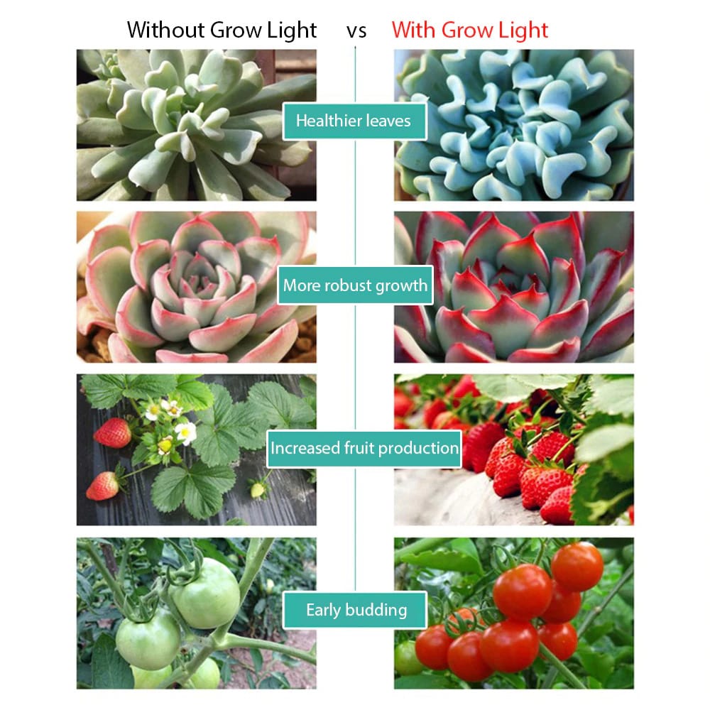 Grow Light for Indoor Plants