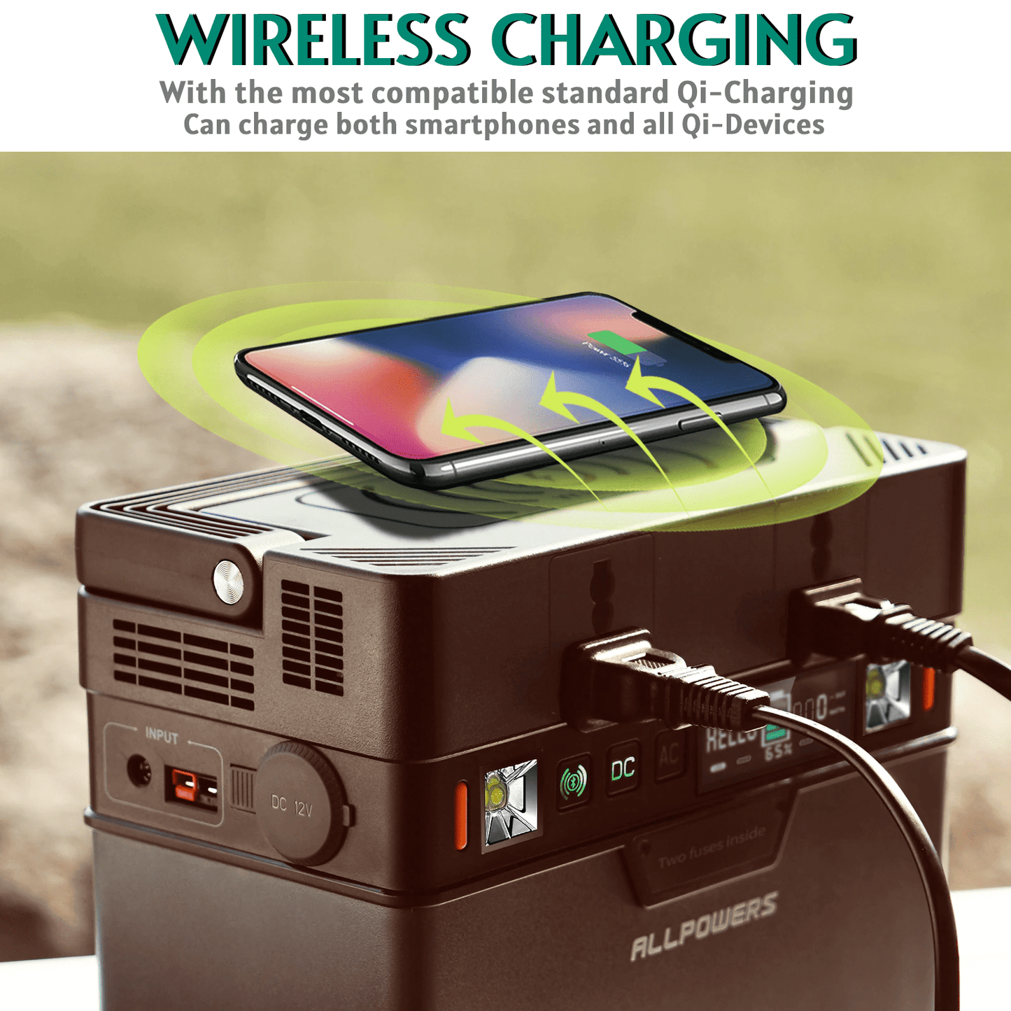 Portable Power Station 110V & 220V