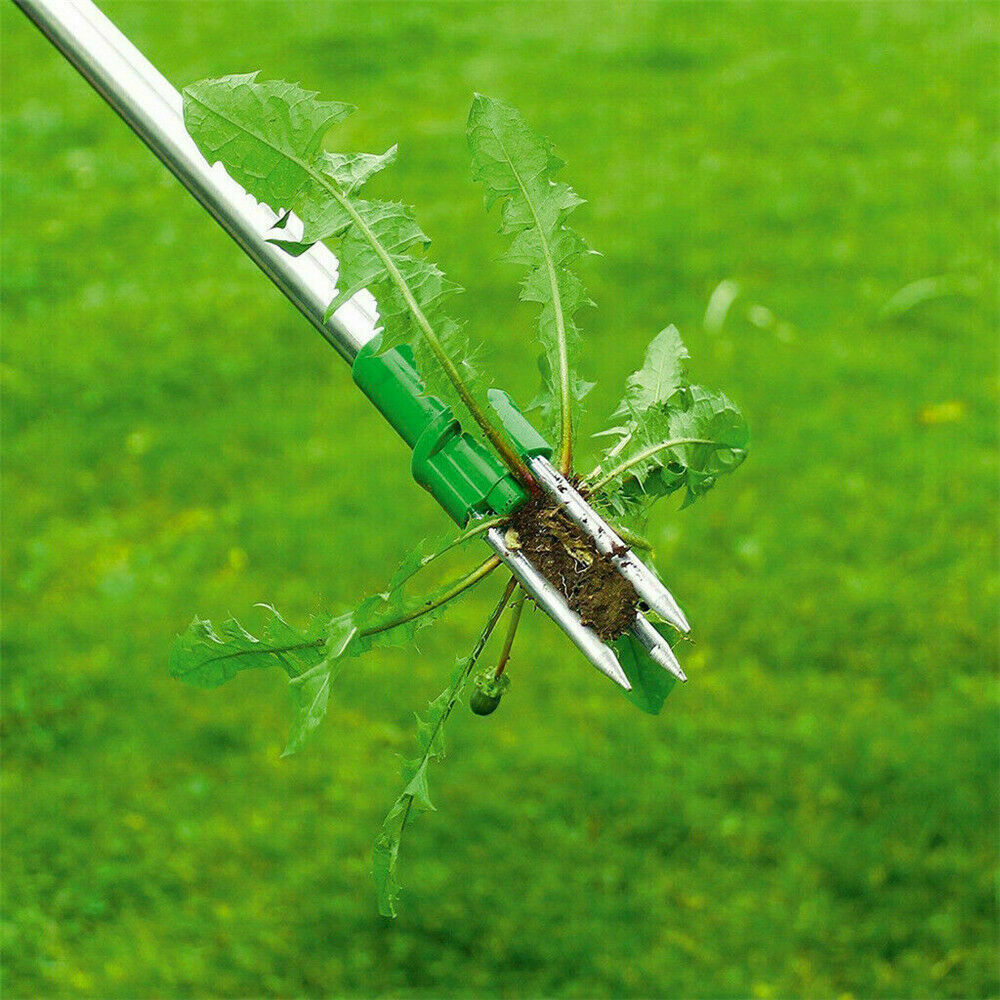 Stand Up Weeder