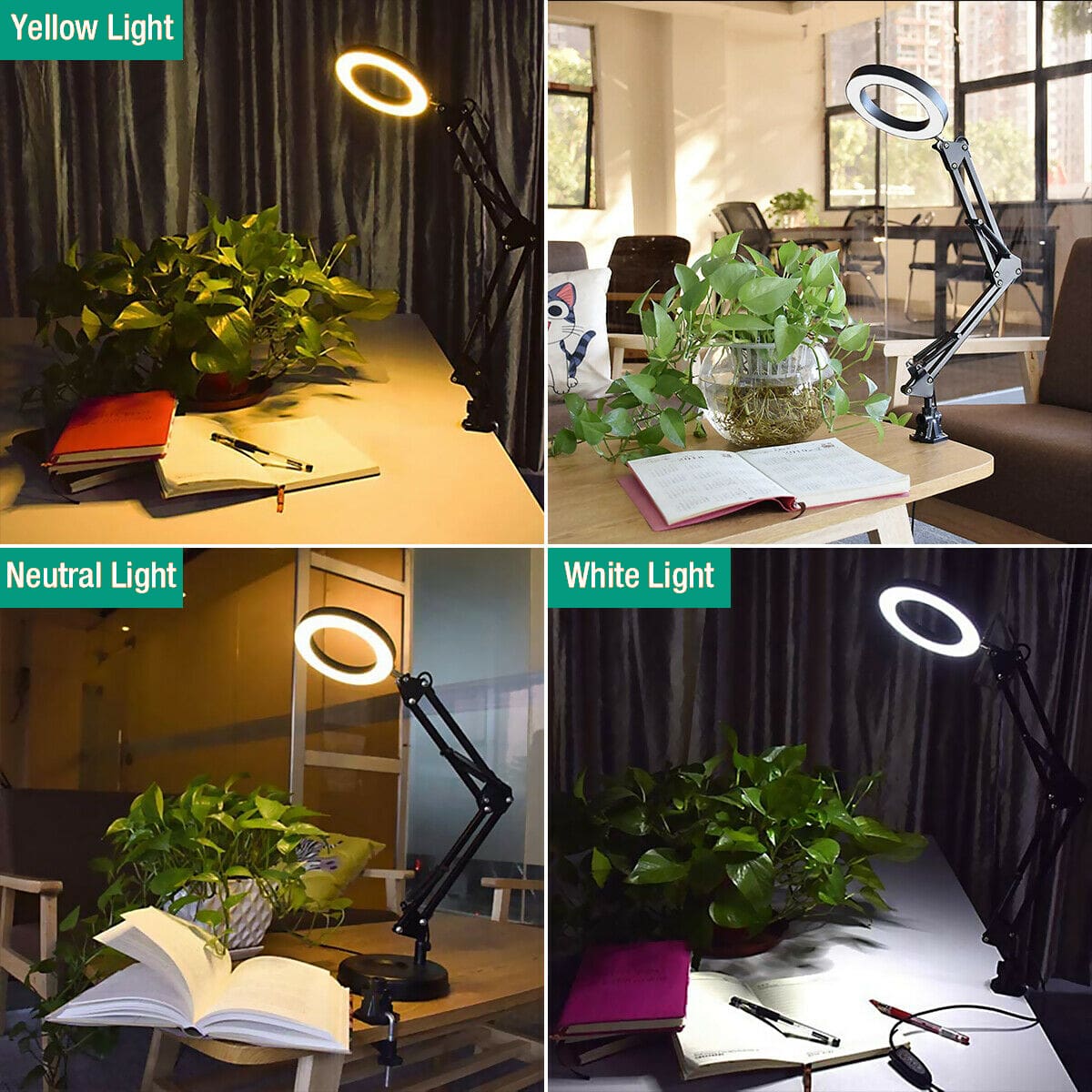 8X Magnifier LED Lamp
