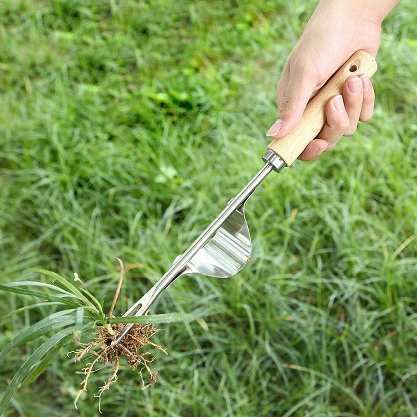 Manual Hand Weeder