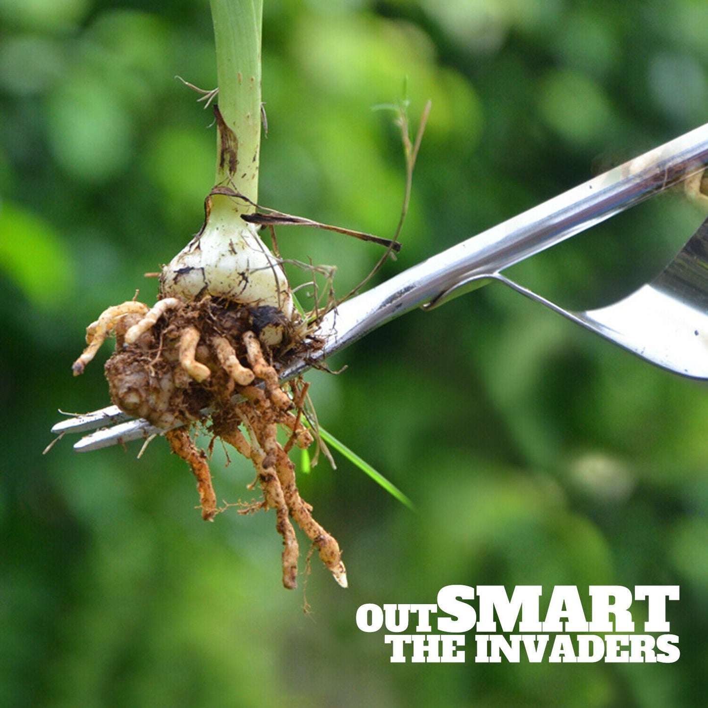 Manual Hand Weeder
